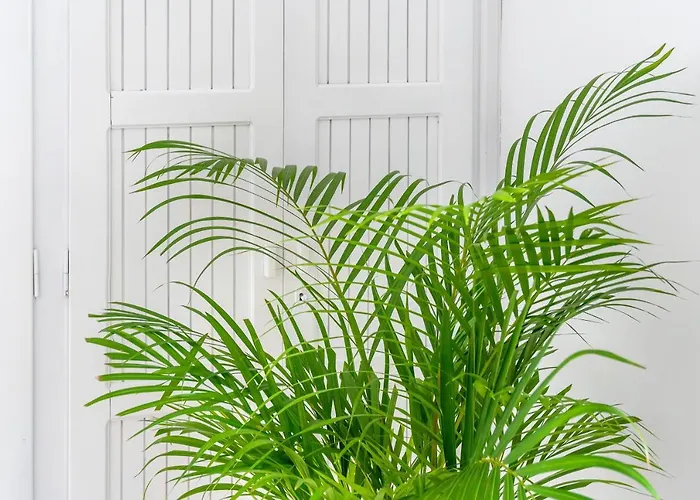 Indigo Boutique Villa