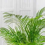 Indigo Boutique Вилла