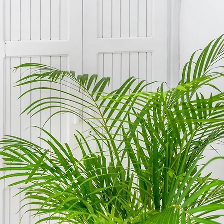 Indigo Boutique Vilă